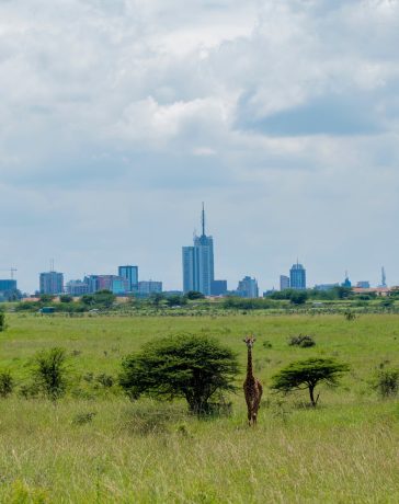 Kenya, Nairobi