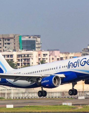 Indigo Airplane